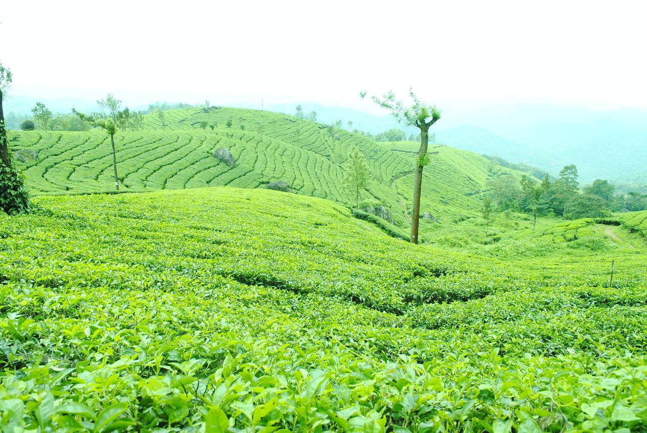 Tranquil Valley Resort Munnar Zewnętrze zdjęcie