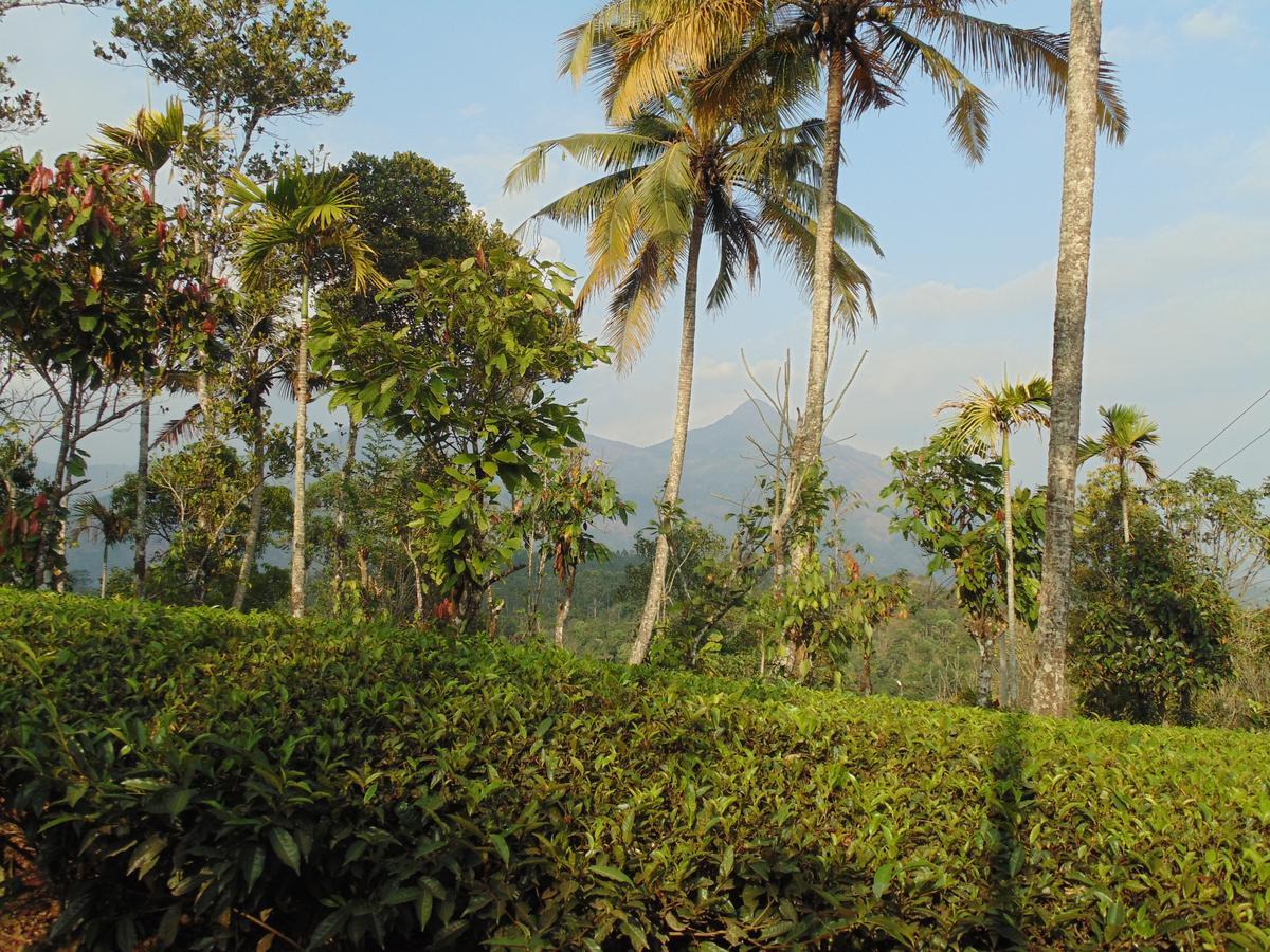 Tranquil Valley Resort Munnar Zewnętrze zdjęcie